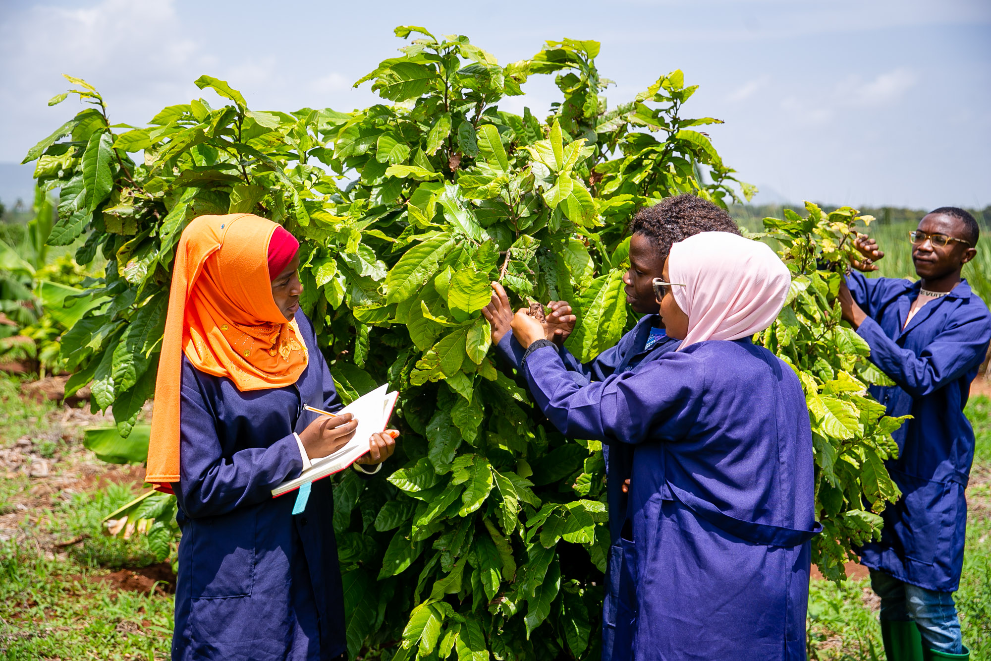 Practical Agricultural Training
