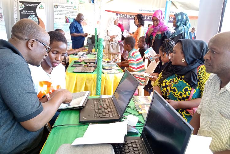 Academic Programme Coordination